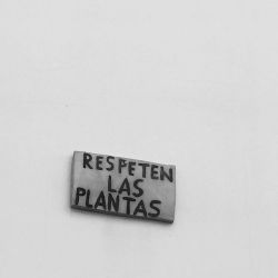 Respeten las plantas… #manifiesto #queja #suplica #talkativewalls (en Alicante, Spain)
https://www.instagram.com/p/B7JC6MhqWSF/?igshid=12djdqwb51wzj