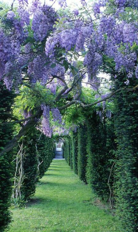 afaerytalelife: Maze Garden at Château de la Ballue in Bazouges-la-Pérouse, France