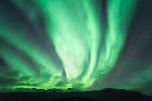 greyugly:  The northern lights. Too incredible to describe 