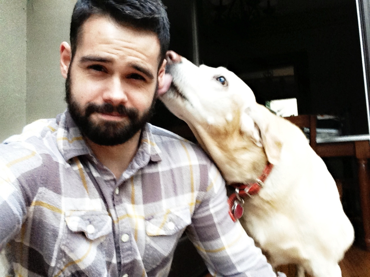 laflad:  Such a sweet loving furball 