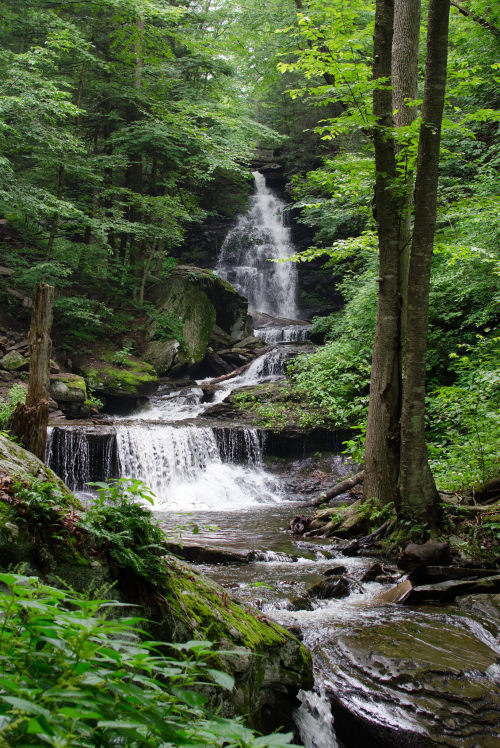 90377: Falls at Ricketts Glen by kecotting