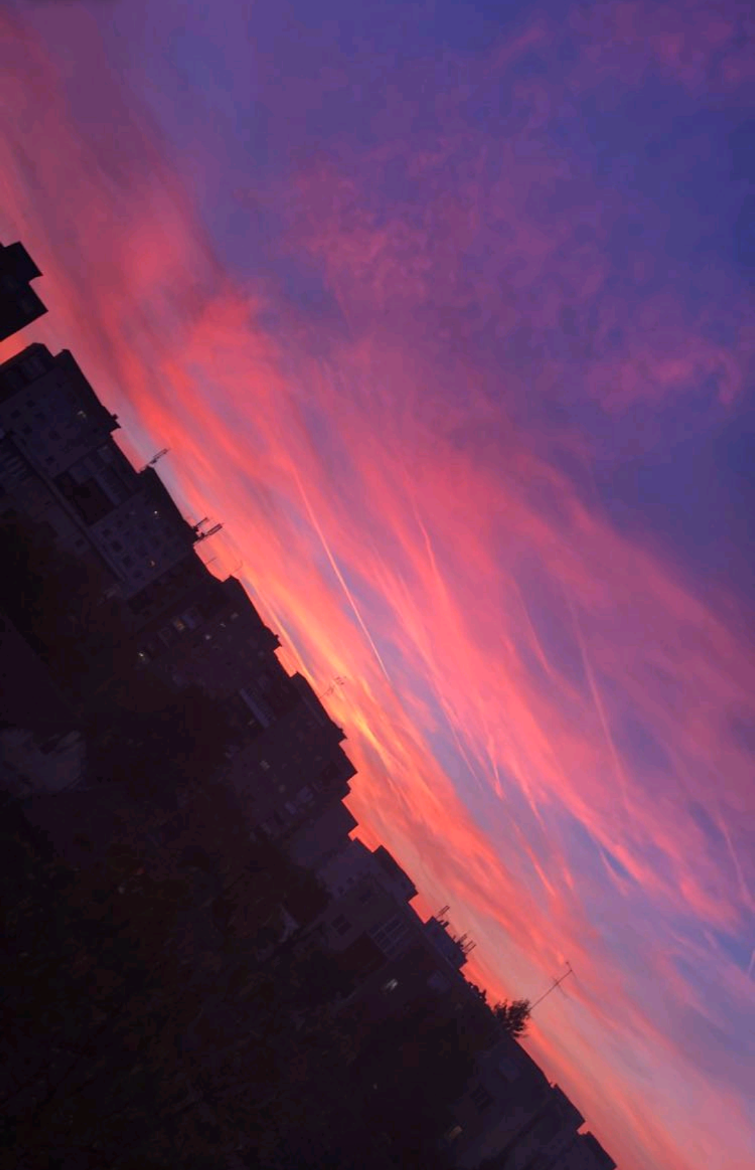 Sky Neverdie Tumblr Blog Tumgir