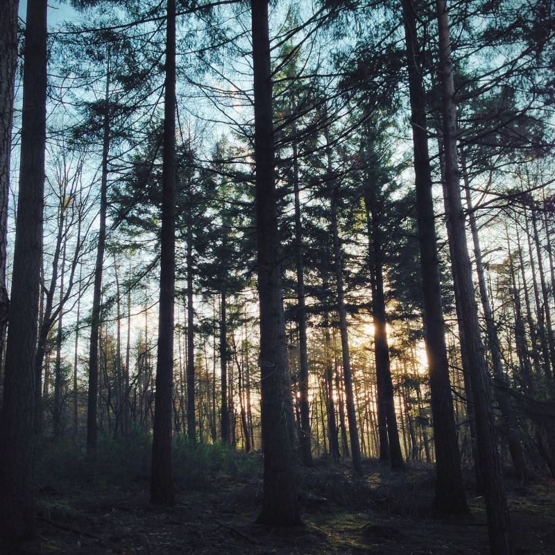 danielodowd:  jeanluc033 