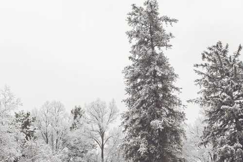 Snowy Mount Olivet Cemetery in Salt Lake City