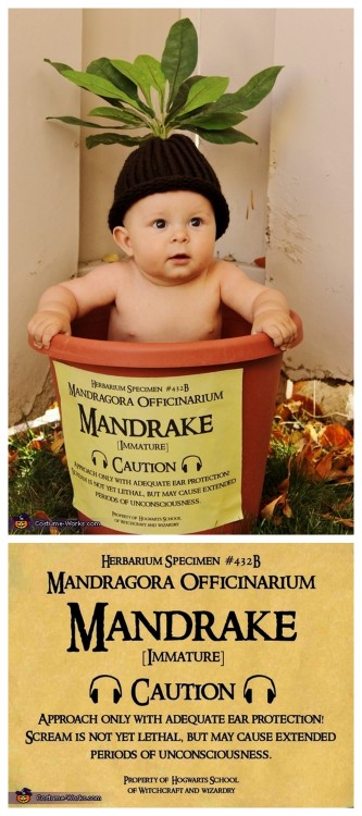 DIY Harry Potter Mandrake Baby Costume from Costume Works.The cutest baby costume ever. For an aweso