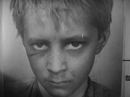 maxwellbul:    Ivan’s Childhood (1962), Director: Andrei Tarkovsky, DP: Vadim Yosov   