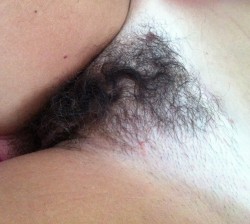 minenicemice:  Trimmed hairy pussy 