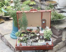 a-mini-a-day:  Nice container ideas from Oak Park Water Garden 