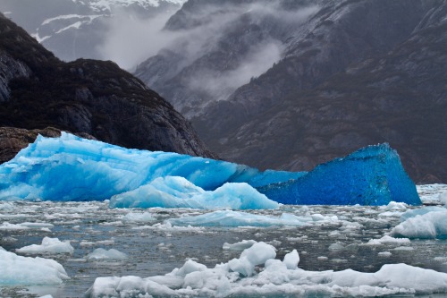 Iceberg Blueby Mitch Seaver