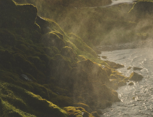 redcapcards:  Beautiful! teaganwhite:  iceland is a beautiful place that you should totally visit if you like seabirds, moss, impressive bodies of water, and the vague feeling of perpetually being haunted by something vast and unknowable.  here are a