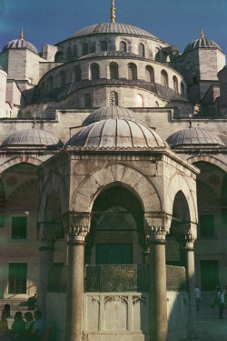 italdred:  Mezquita Azul | Blue Mosque (by Noviembre·)