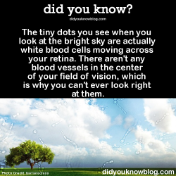 did-you-kno:  The tiny dots you see when