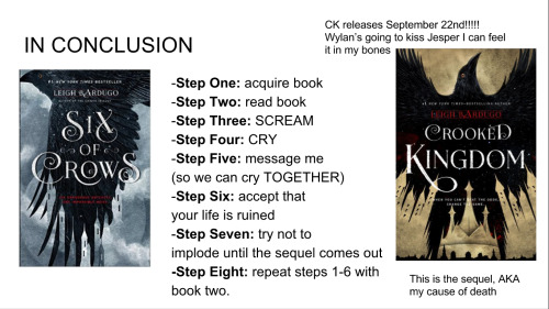 misswendyd: lbardugo: here-be-fangirls: SIX OF CROWS by @lbardugo, as explained by me. Someone shoul