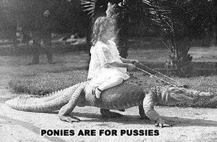 DON'T
