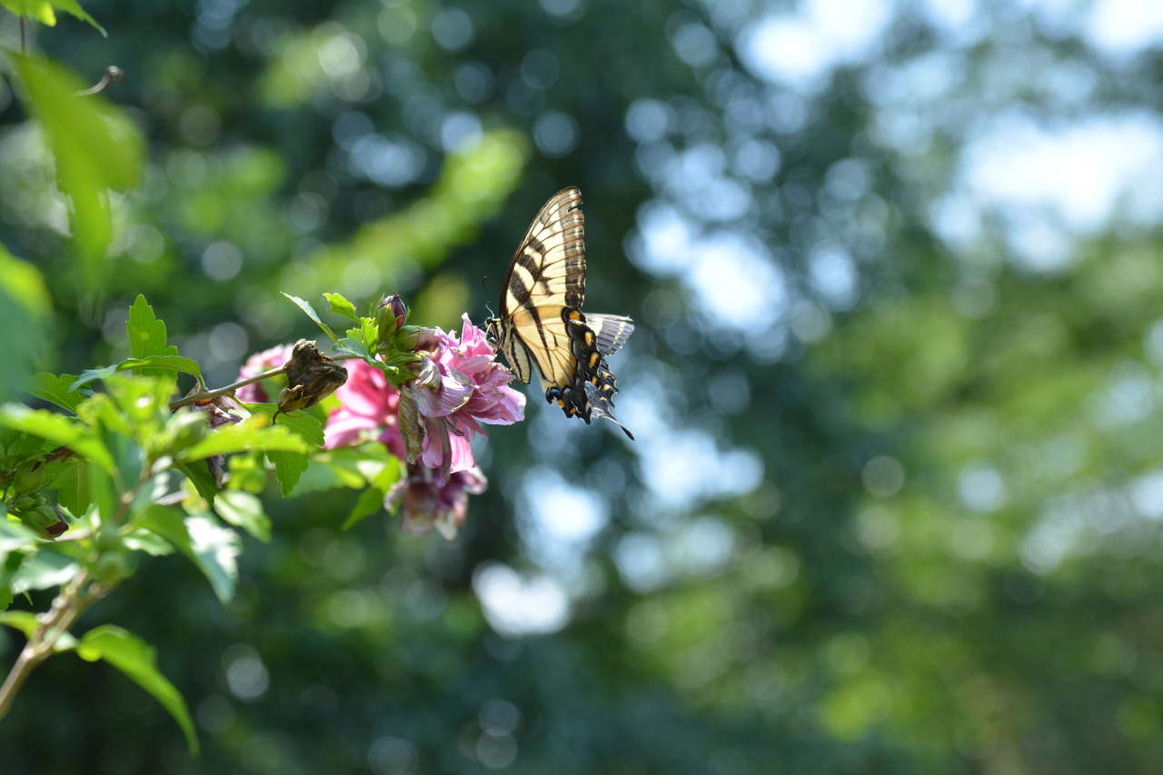 journey-to-balance:  While Embarking on Our Journey to Balance, We Must Make a Conscious