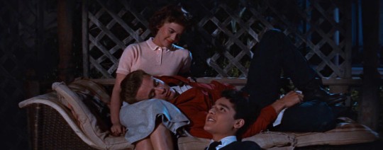 Sex tygerland:Rebel Without a Cause (1955) pictures