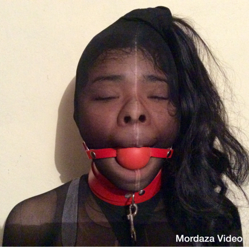 mordazavideo: Pantyhose face, collared and ballgag. Help us to make better photos and videos: http:/
