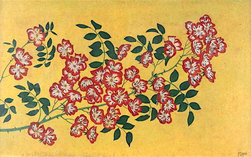 Fritz Lang BRANCH WITH HEDGE ROSE BLOSSOMS ON GOLD OCHER 1956