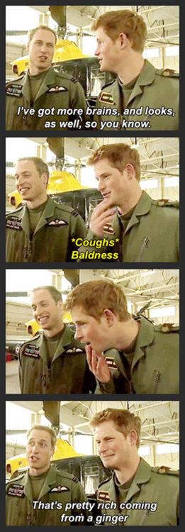 srsfunny:  Royal Family Burnhttp://srsfunny.tumblr.com/ 