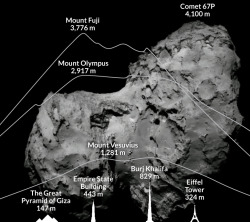 setbabiesonfire:  spaceexp:  Comet 67P size