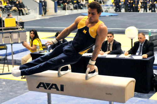 dickpickmanity:  Sam Mikulak, gymnast and all-around hottie.