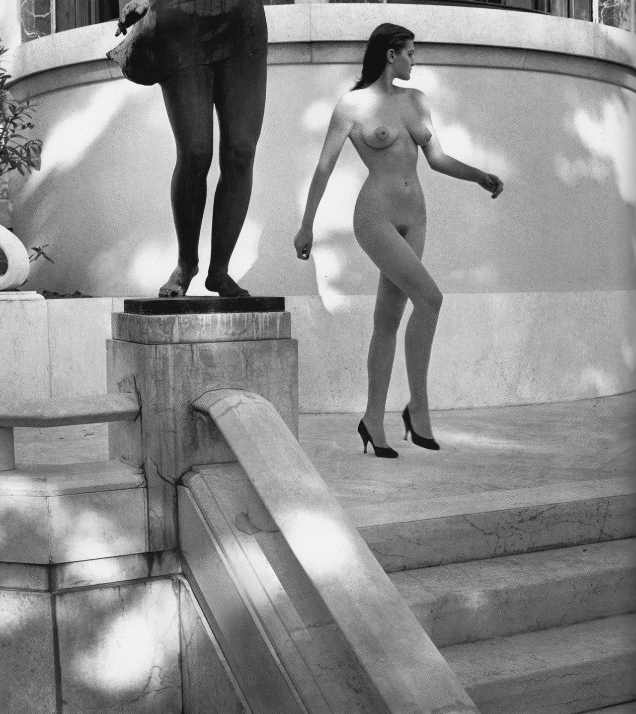 lelaid:  Shot by Helmut Newton, 1981