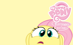 madame-fluttershy:  (Source)