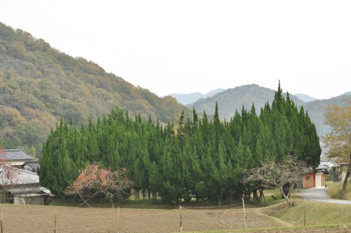 Yumesaki, Japan