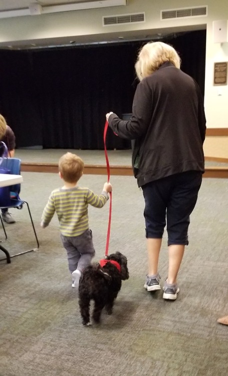 Today&rsquo;s therapy dog adventures in the library: Aggie the poodle mix and her person bond wi