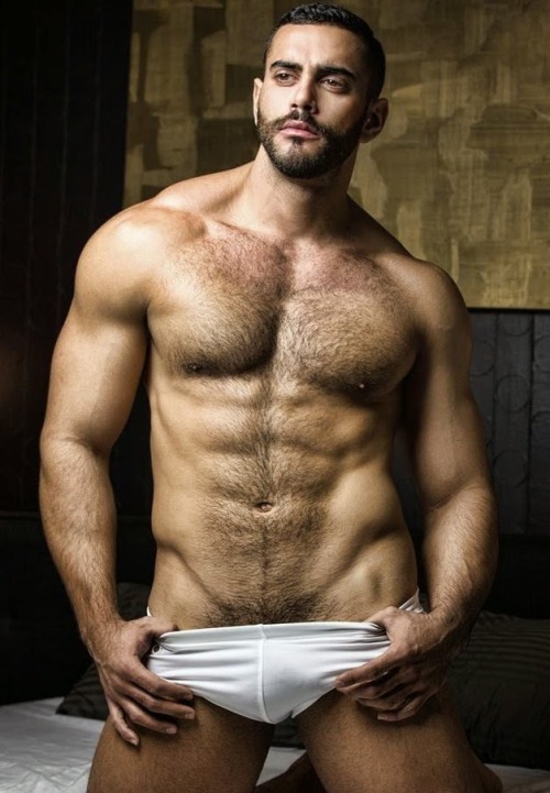 duncan66:  bullsandwolves:  ☆Twitter☆ ★☆Tumblr☆ ★☆Submit☆      (via TumbleOn)
