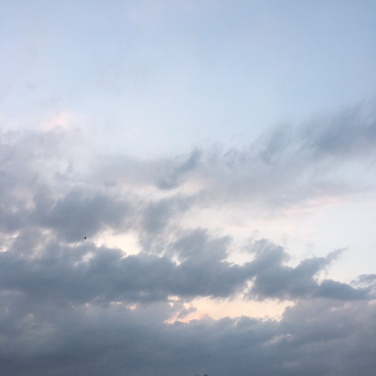 purrfectpeach:  Skies of May ‘17