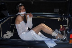 sirbind: Princess filling the trunk for later