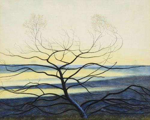 thunderstruck9:Léon Spilliaert (Belgian, 1881-1946), Silhouette d'arbres en hiver, Hautes Fagnes [Si