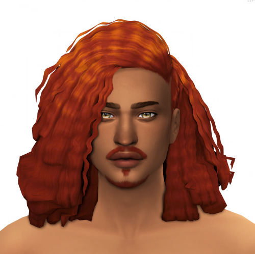 ts4 portrait