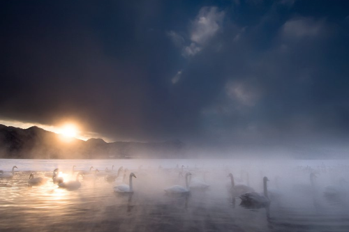 nubbsgalore:swan lake. photos (none of which are actually in russia) by (click pic) paul and paveena