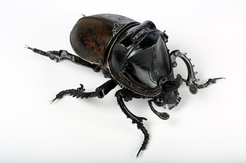 itscolossal:Amazing new insect and animal assemblages made from car and bike parts by Edouard Martin