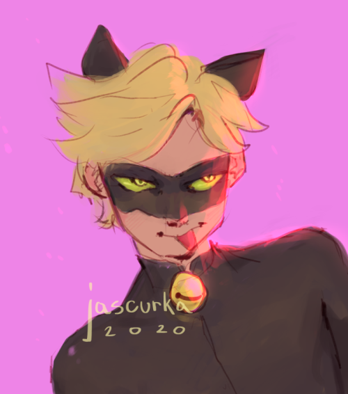 okay hear me out………..Chat but with Adrien hair…….Also have a blep