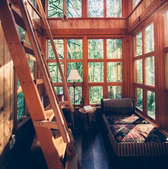 kateoplis:  Treehouses of the Pacific NW 