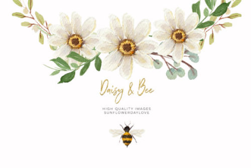 Daisies &amp; Bee Watercolor Clipart Graphic by SunflowerLove• 14 individual high-quality i