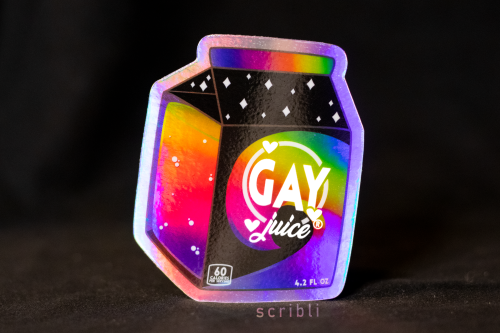 LGBT+ Holographic Stickers  shop | insta | fb