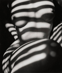 last-picture-show: Peter Basch, Untitled,