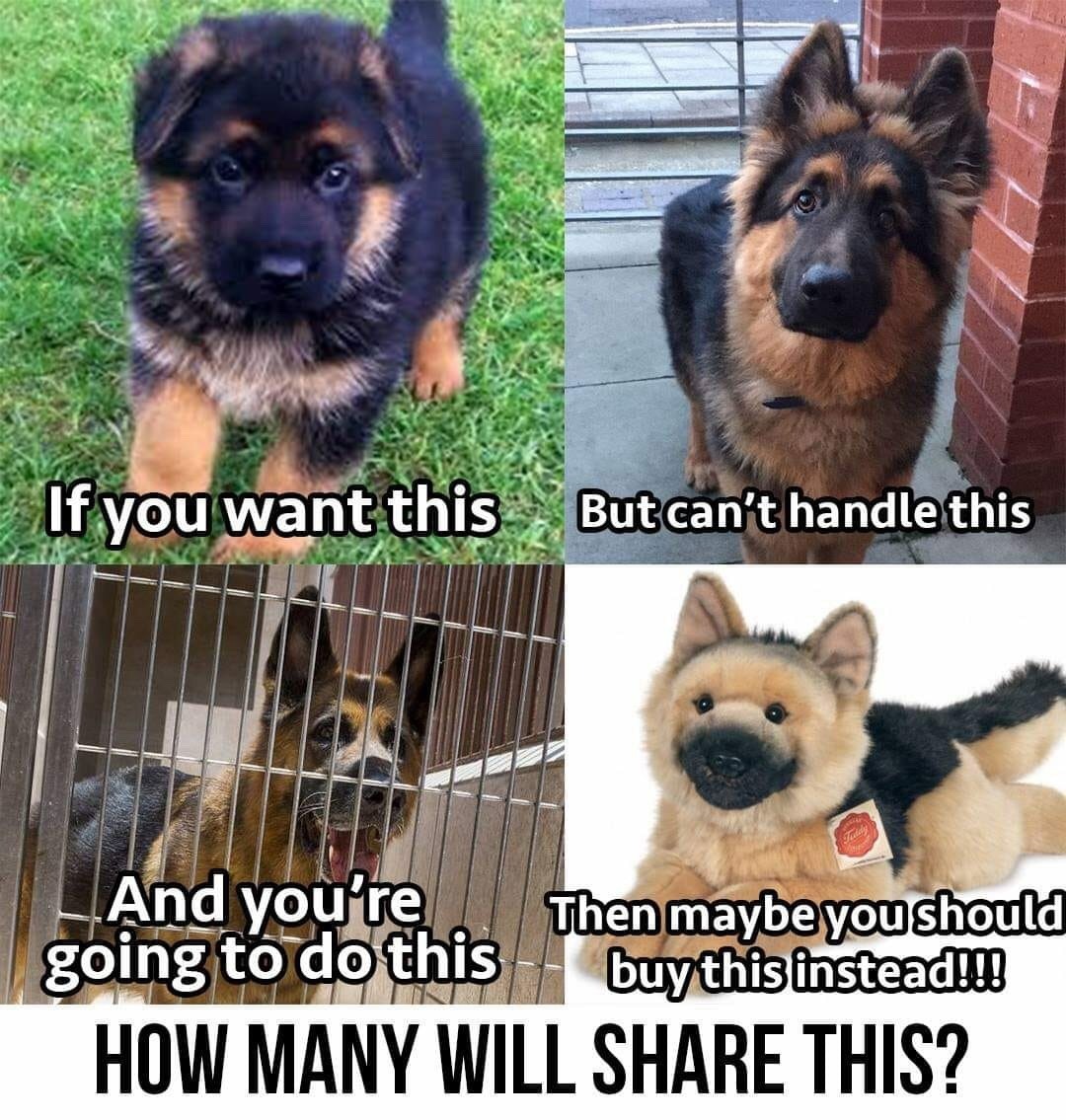 findingdrake: pegasusdragontiger:  sloptown:  anotherbondiblonde:    Damn straight..