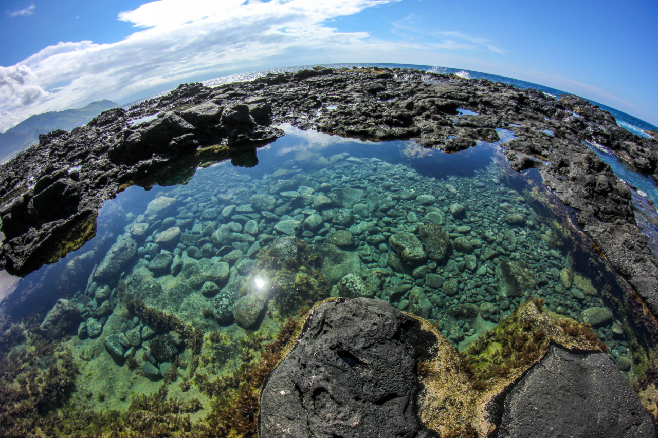 zachmaumau:  Yokohama Bay tidepools.  