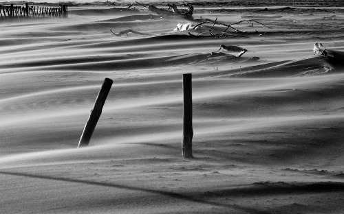 Sands at Camargue This photo comes from the nature reserve known as Camargue, on the Mediterranean c