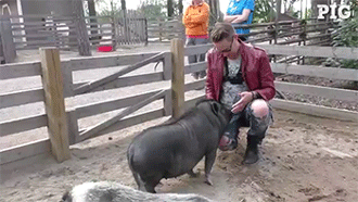 sizvideos:  Video 