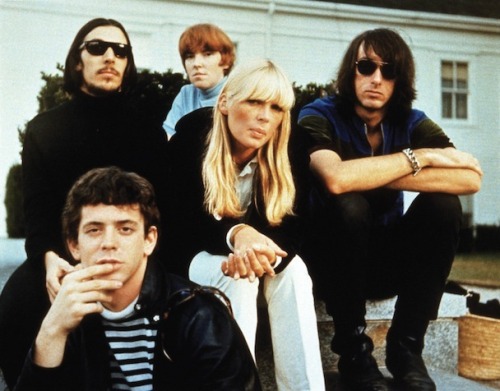 the velvet underground