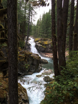 moody-nature:  Mt Rainier | By Dave Brink