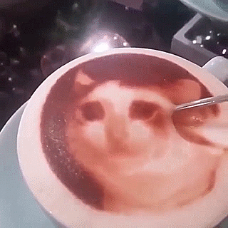 rslashrats:snuv:meatpower:Acts of violence manic monday moodboardhell on earth  