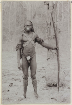indavilla:  Papuans (Melanesia) : Marind