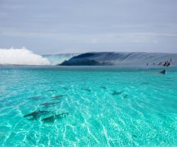 Instagators:  Sea Blue, Jungle Green, Island Ecstatic - Weekend Volcanic 3 Surreal